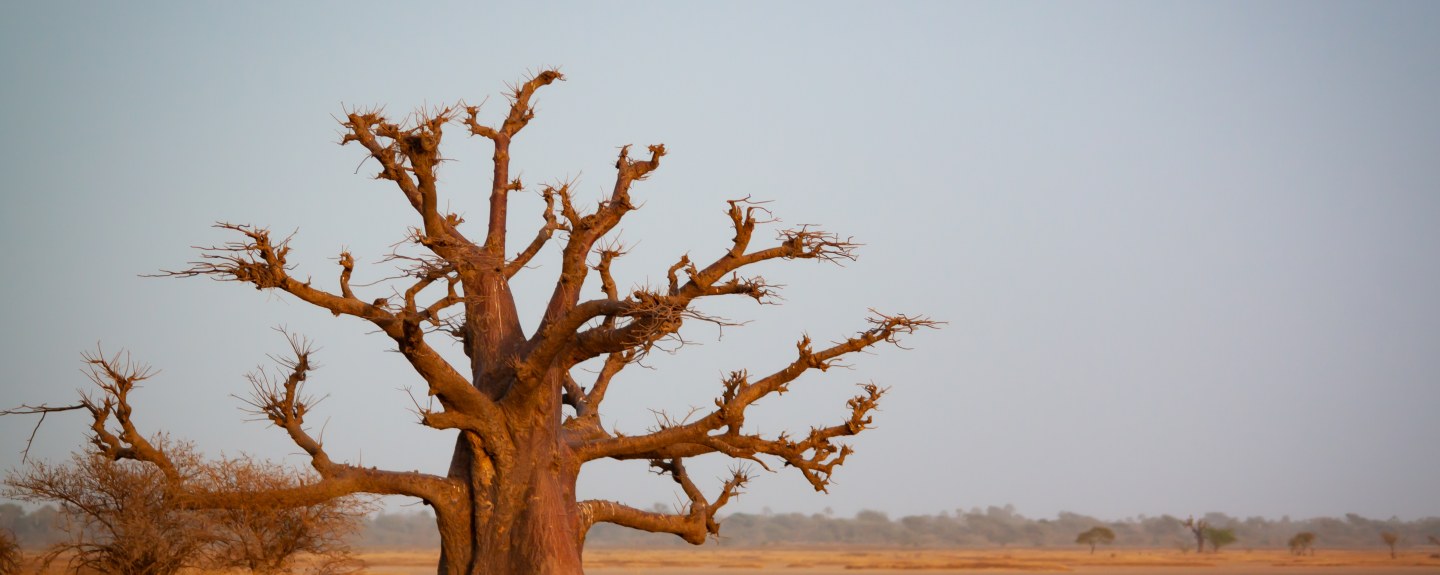 Vol Nantes Sénégal - Aéroport Nantes Atlantique - 1