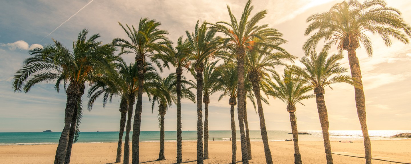 Vol Nantes Espagne - Valence - Aéroport Nantes Atlantique - 1