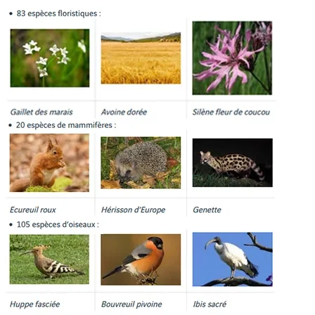 Biodiversité - Aéroport Nantes Atlantique