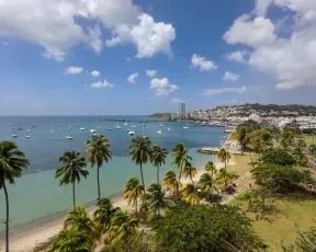 Vol Nantes Martinique - Fort De France - Aéroport Nantes Atlantique 