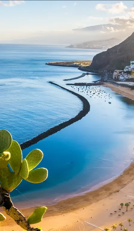 Vol Nantes Ténérife - Espagne- Aéroport Nantes Atlantique 
